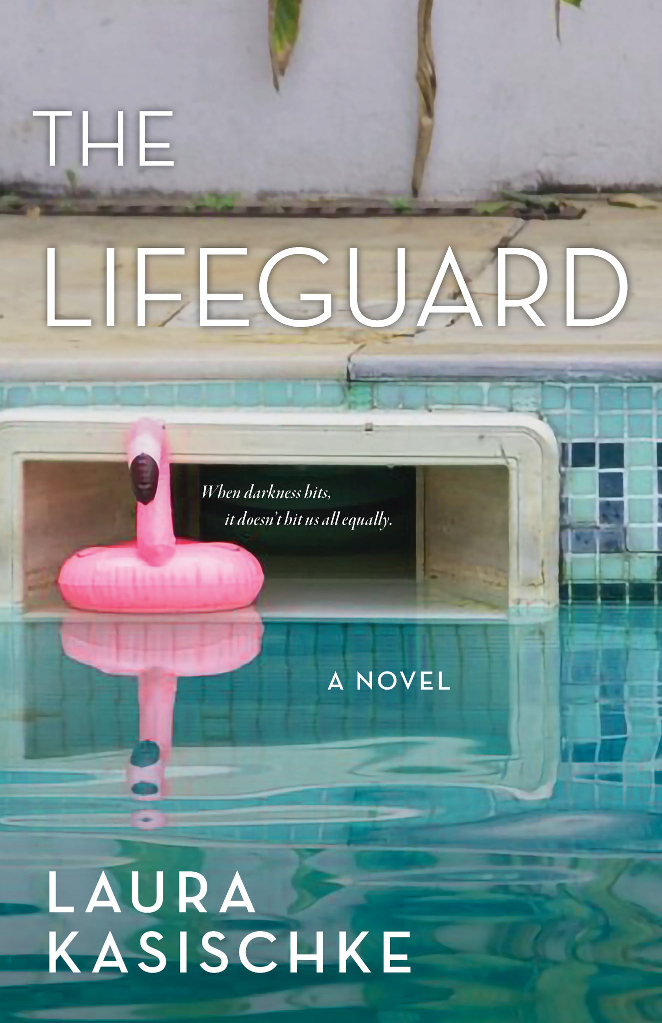 Cover image for The Lifeguard ISBN 9781636282879